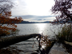 DE - Glees - Hiking near Maria Laach abbey