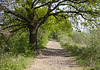 Weg Moerputten Vlijmen