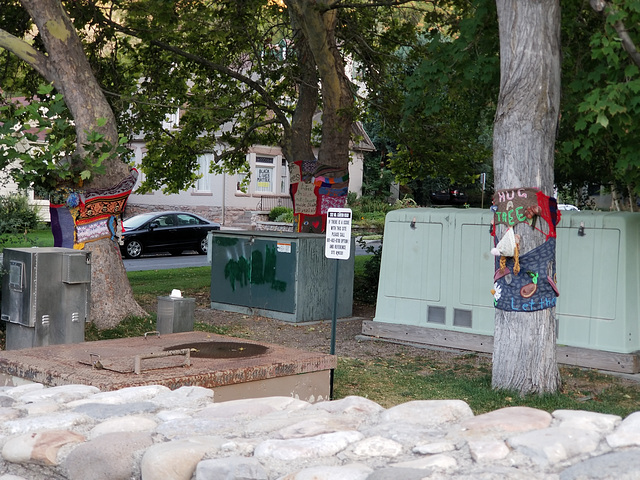 yarn-bombed trees next to water treatment equipment, Memory Grove