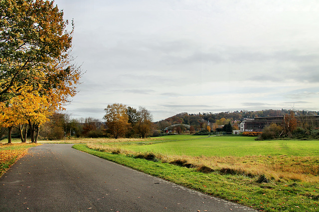 Weg auf den Ruhrwiesen (Witten-Herbede) / 6.11.2021