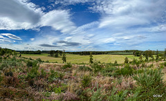 Moray Skies