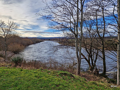 The River Spey at Fochabers