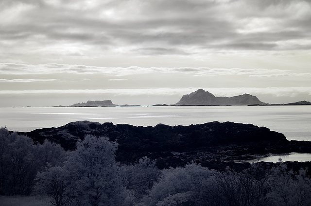 Lofoten - Hadseloya