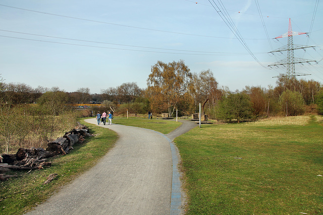 Brache Vondern (Oberhausen-Osterfeld) / 8.04.2018