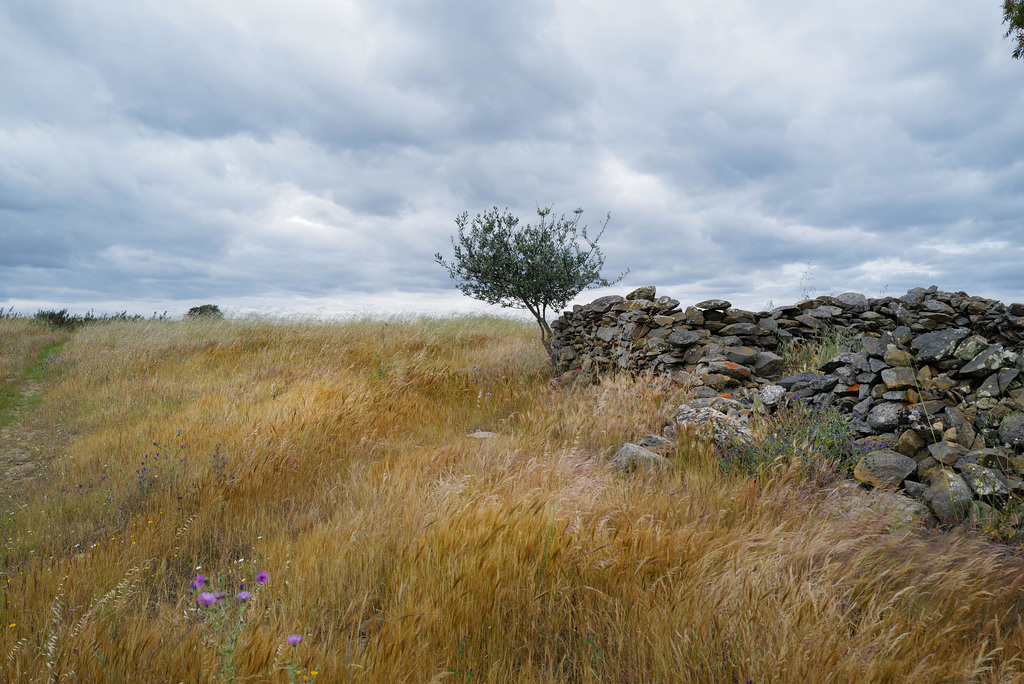 Penedos, Dry season approaching, clouds just passing by...