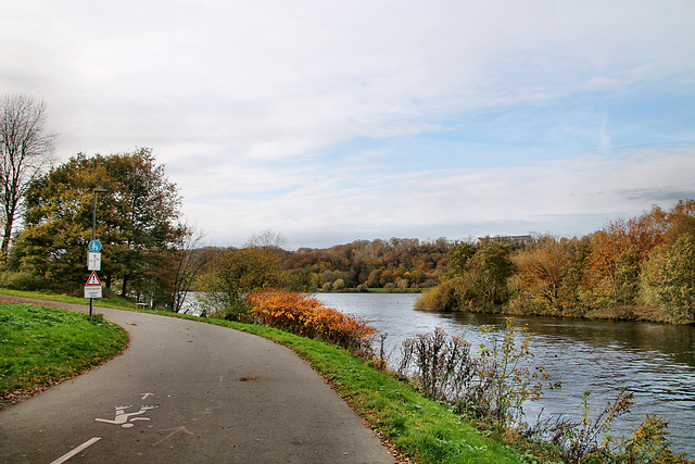 Weg am Mühlengraben (Witten-Herbede) / 6.11.2021