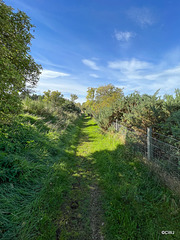 The Rafford track to the Dava Way