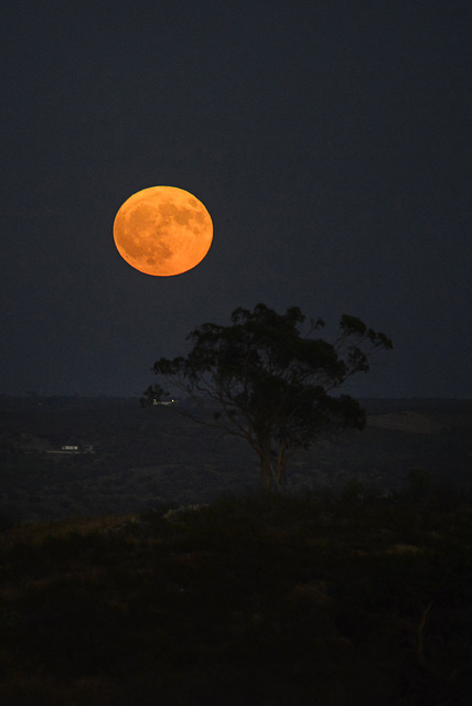 August 19 2024 Full Moon