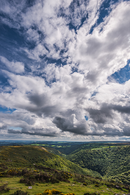 Dartmoor - 20150831