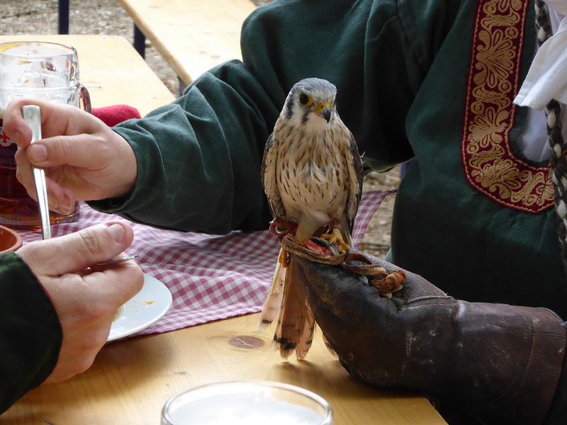 Die hat 'nen Vogel -2