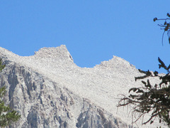 Whitney 154