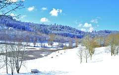 Diebachsee in Winter