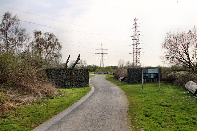 Brache Vondern (Oberhausen-Osterfeld) / 8.04.2018