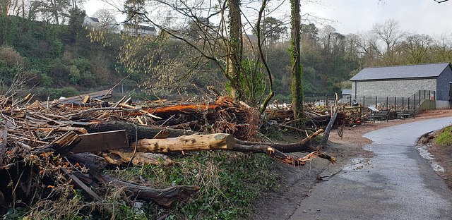 After the floods