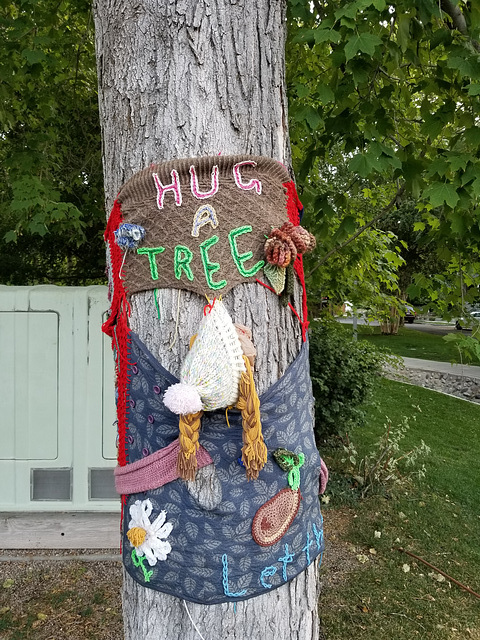 Hug a tree