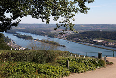 Rüdesheim - Ausblick zur Rüdesheimer Aue