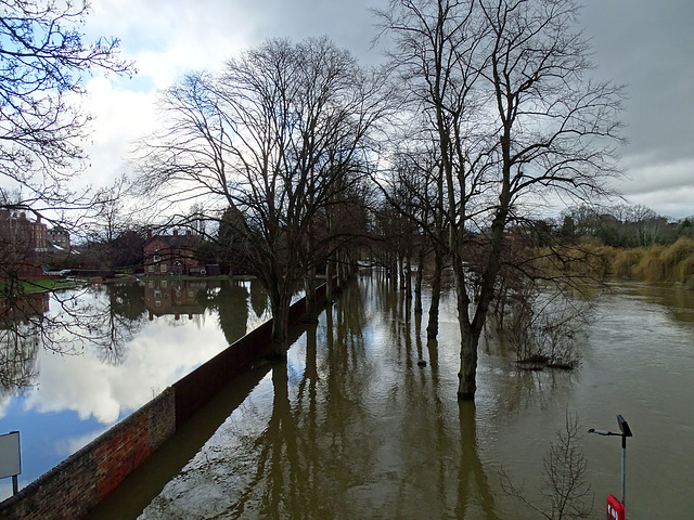Flooded riverside footpath