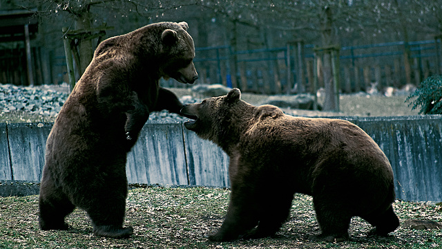 Tierpark Straubing