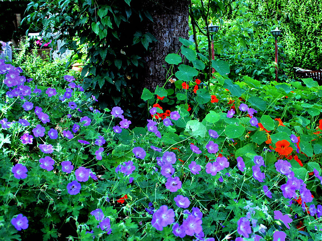 Garten in der Öhndorf