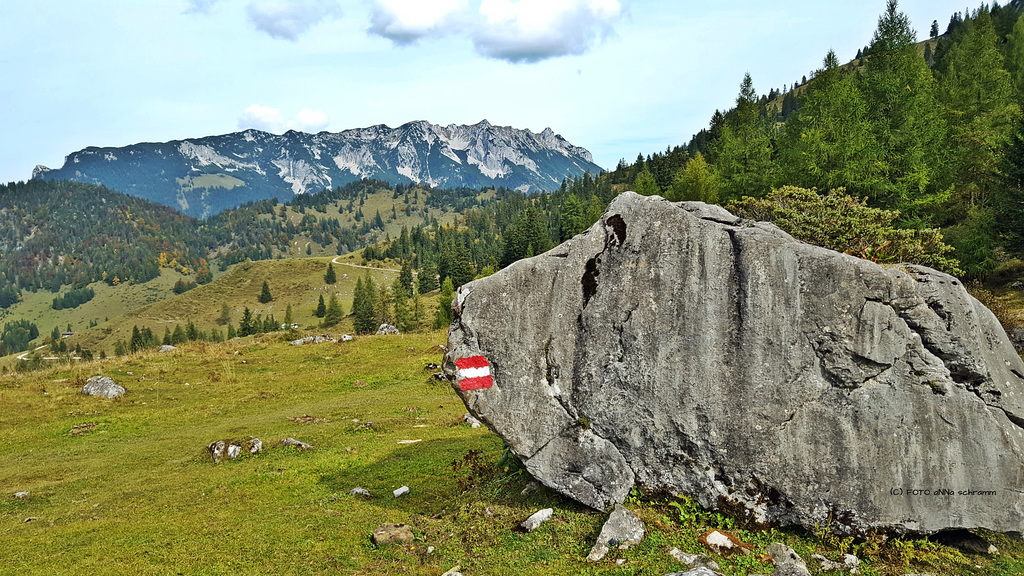 ? ? ? - or -'The Big Hamster of Kufstein!'