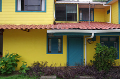 Blue and yellow house