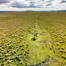 Down Tor Stone Row - 20230815-DJI 0024-HDR-Pano