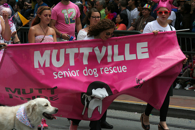 San Francisco Pride Parade 2015 (6358)