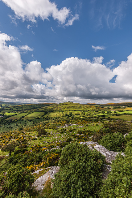 Dartmoor - 20150831