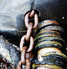 Detail and Texture at the Fishquay