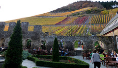 DE - Marienthal - Autumn in the vineyards