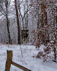 Happy Fence Friday to All of You