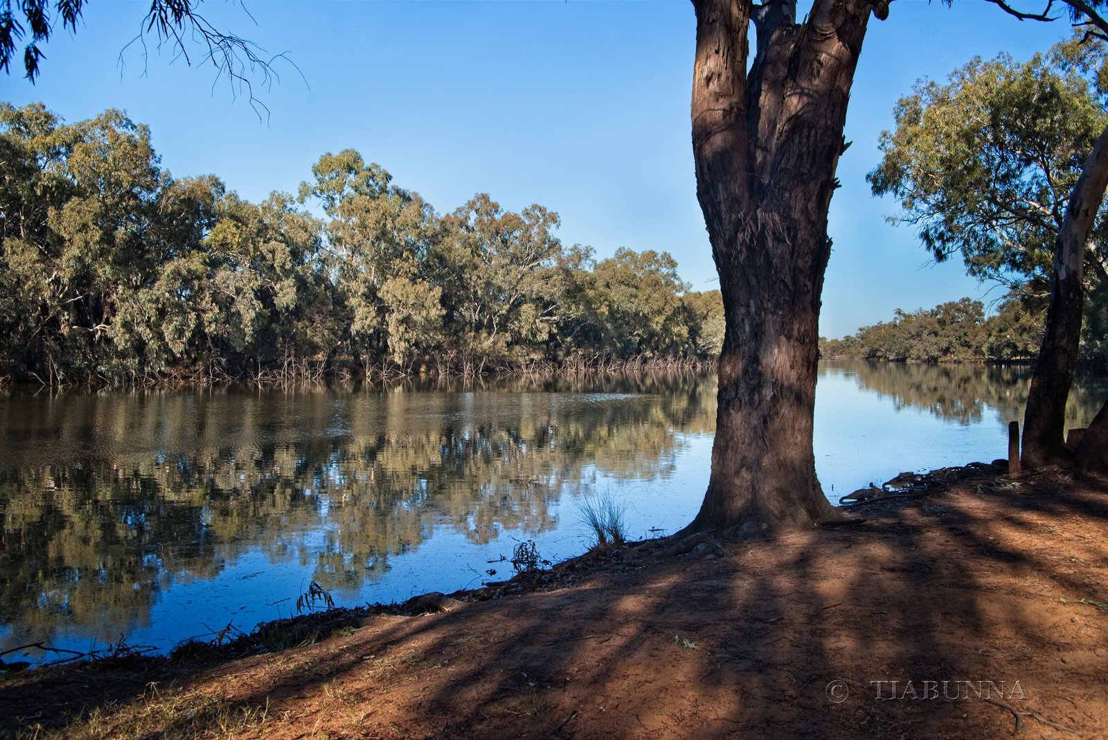 Bogan reflections