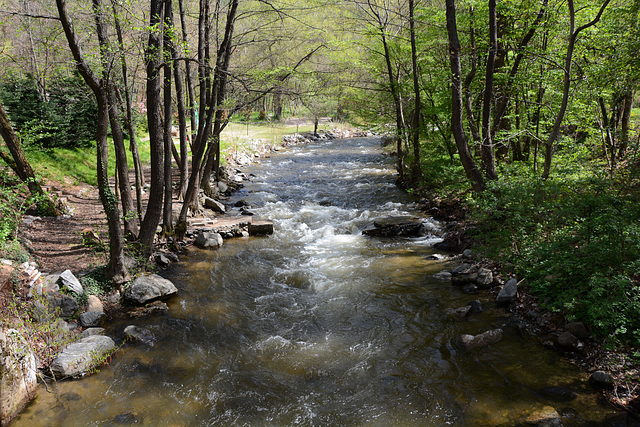 Bulgaria, Blagoevgrad, The River of Bistritsa in the Park of Bachinovo