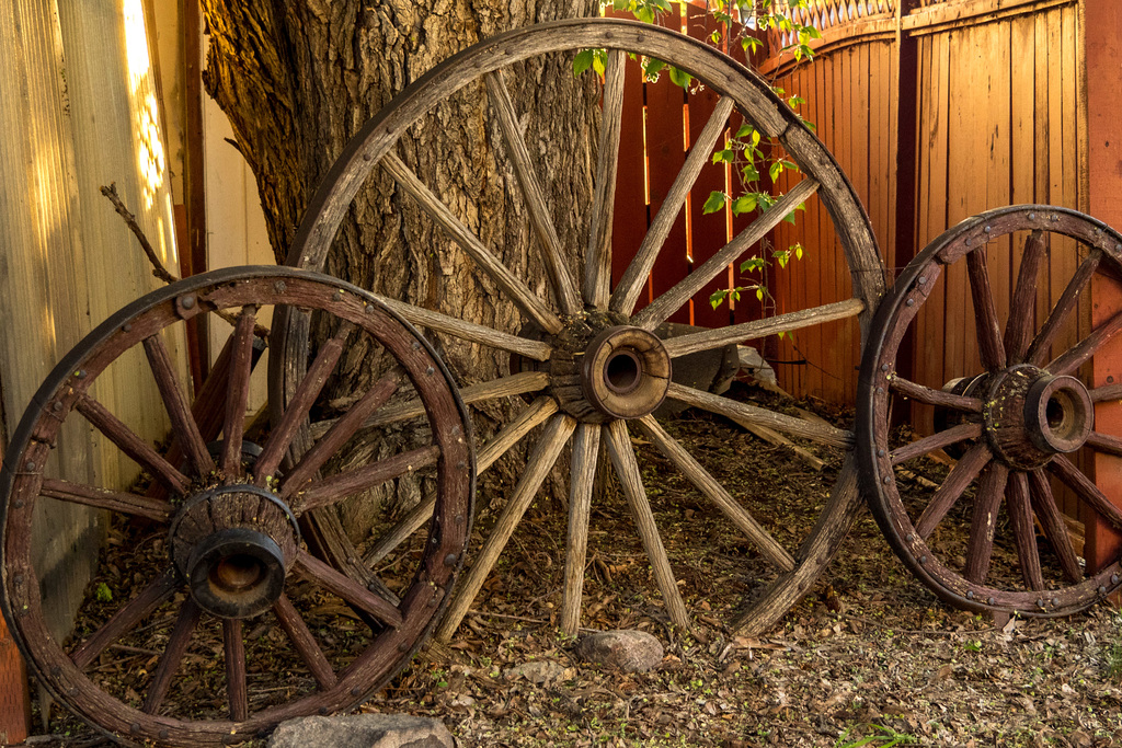 Wagon Wheel Fence 01