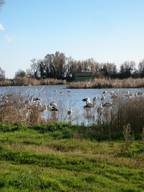 Parc Natural dels Aiguamolls de l’Empordà