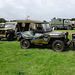 cohaug102019 (1167)