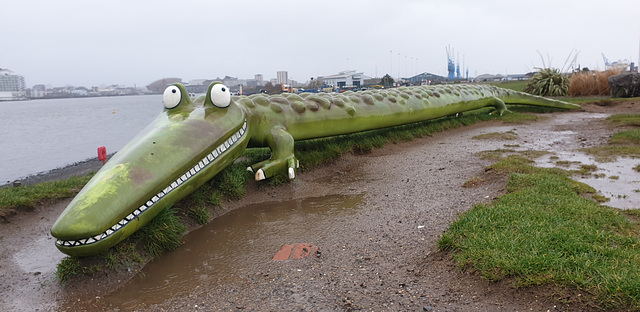 An Enormous Crocodile