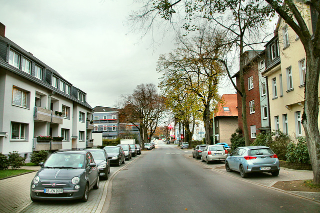 Mühlenkampstraße (Herten-Westerholt) / 21.11.2020