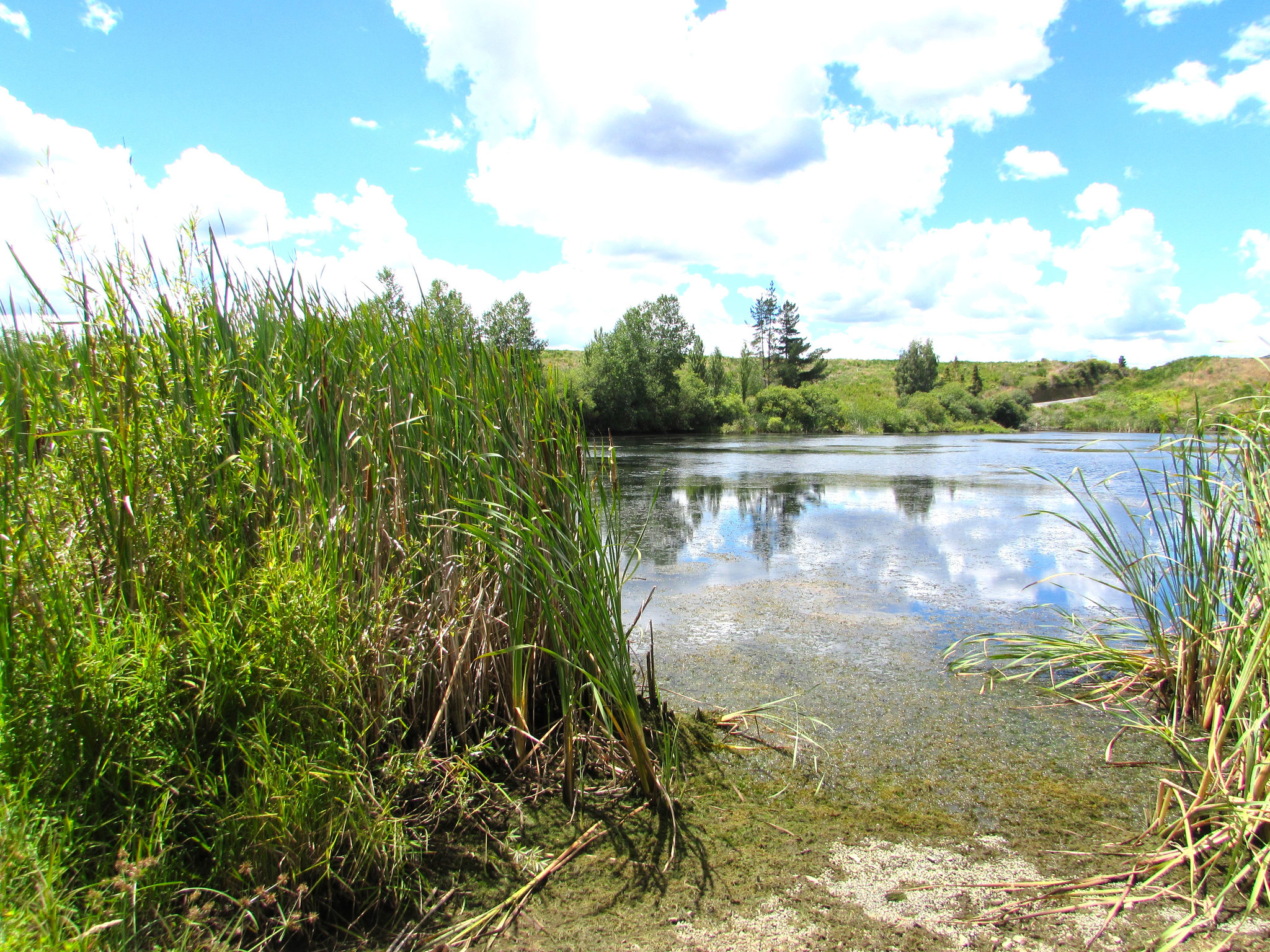 Lake Maraetai.