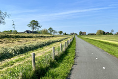 Gelderwoudseweg