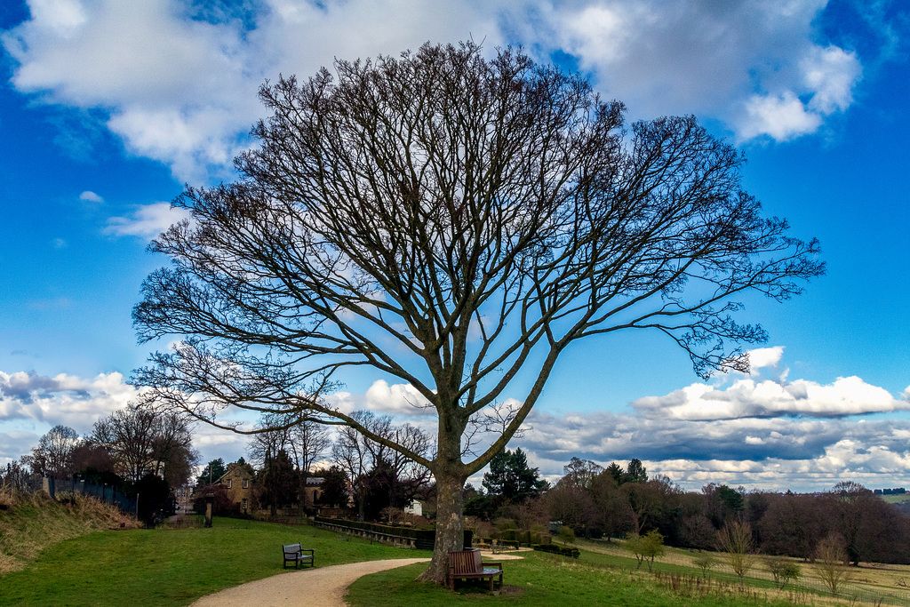 Wentworth Castle & Grounds-5-colour