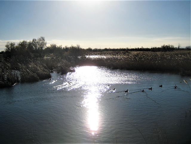 Parc Natural dels Aiguamolls de l’Empordà