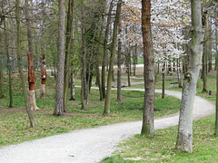 Stadtpark-Weg und Baum-Art