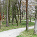 Stadtpark-Weg und Baum-Art