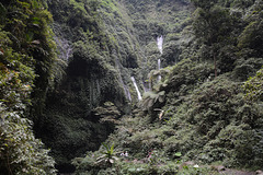 Indonesia, Java, Madakaripura Waterfall