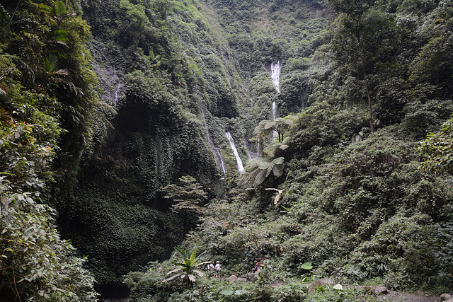 Indonesia, Java, Madakaripura Waterfall