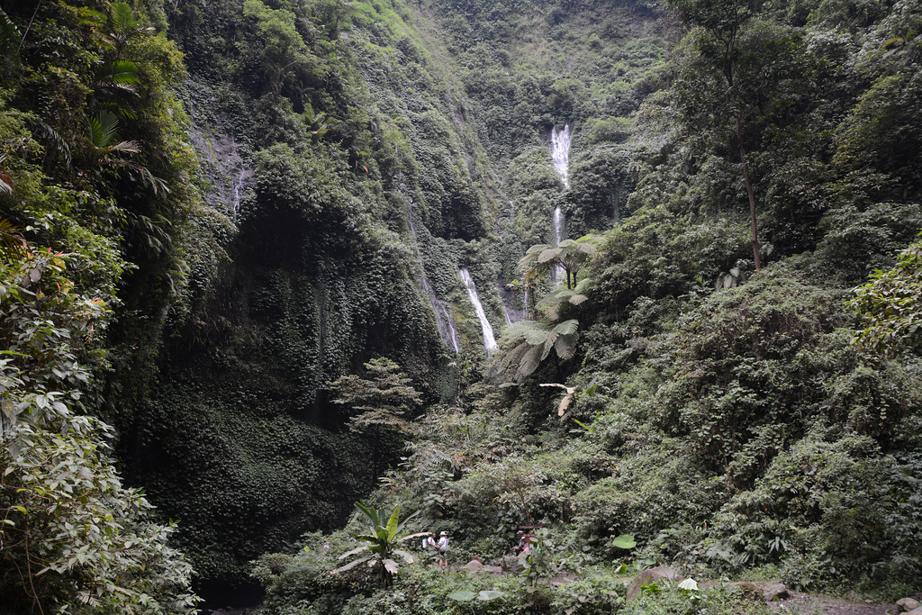 Indonesia, Java, Madakaripura Waterfall