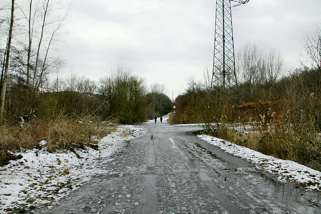 Zechenweg (Hamm-Herringen) / 3.02.2019