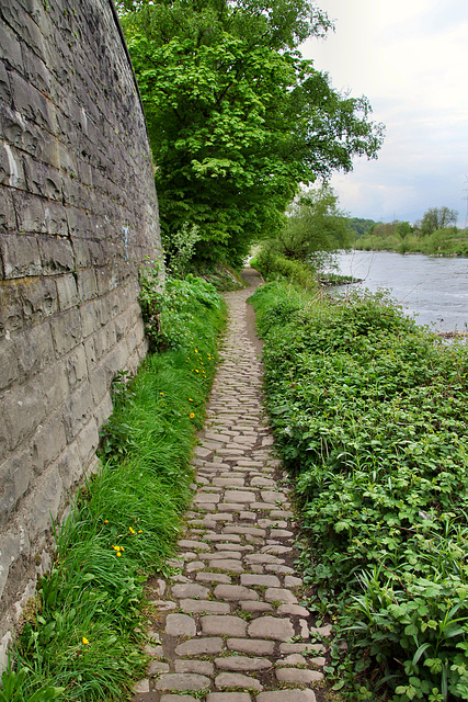 Der erhaltene Leinpfad unterhalb des Isenbergs (Hattingen) / 28.04.2019