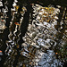 Reflection 6
